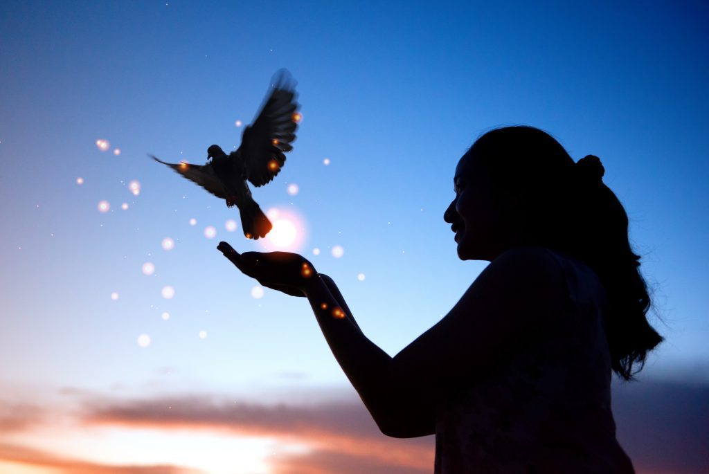 Woman with Dove. The Peace of God is a Benefit of Faith.