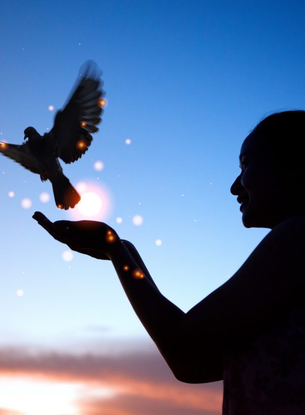 Woman with Dove. The Peace of God is a Benefit of Faith.