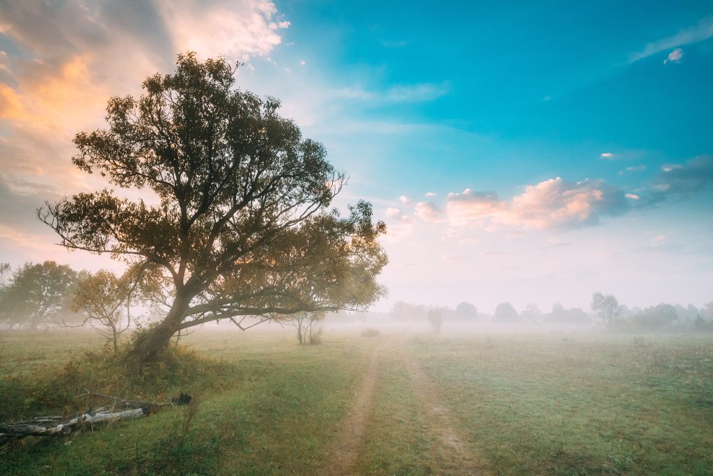 landscape with tree and clouds Exploring Prayer: Understanding It's Form Through Scripture