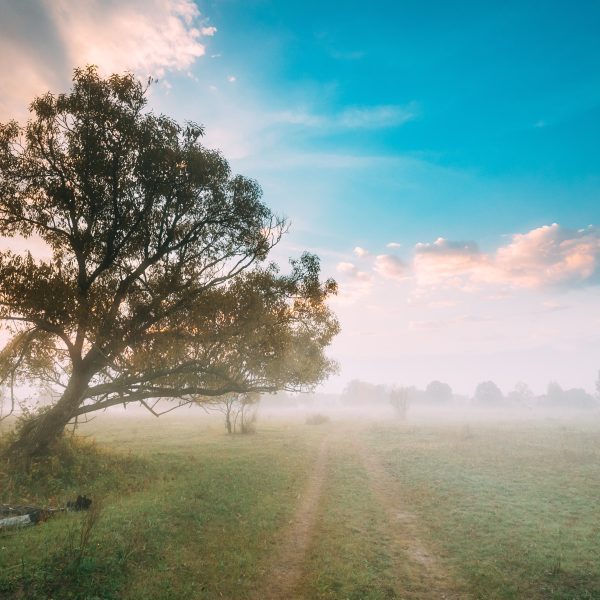 landscape with tree and clouds Exploring Prayer: Understanding It's Form Through Scripture