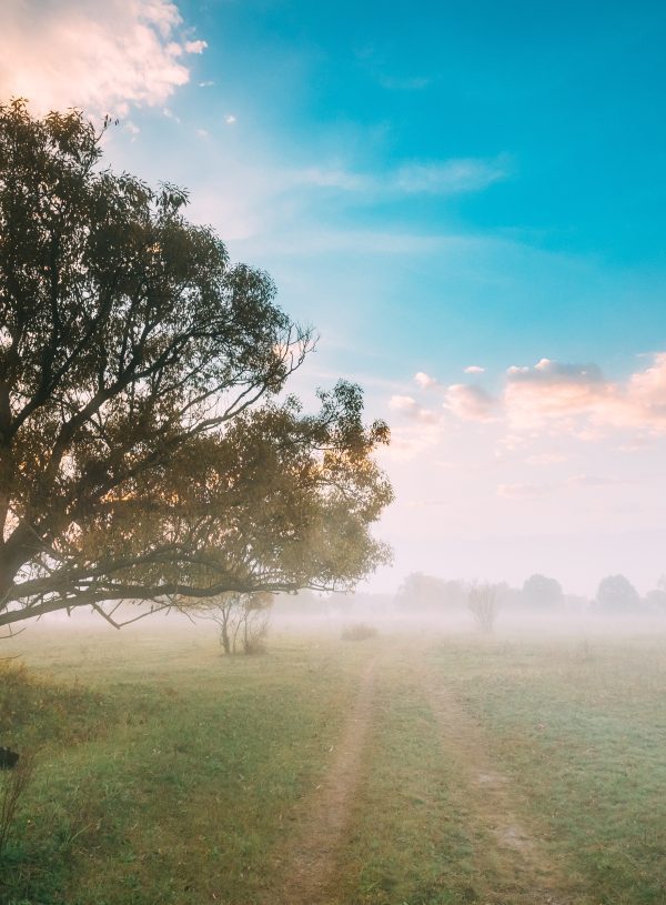 landscape with tree and clouds Exploring Prayer: Understanding It's Form Through Scripture