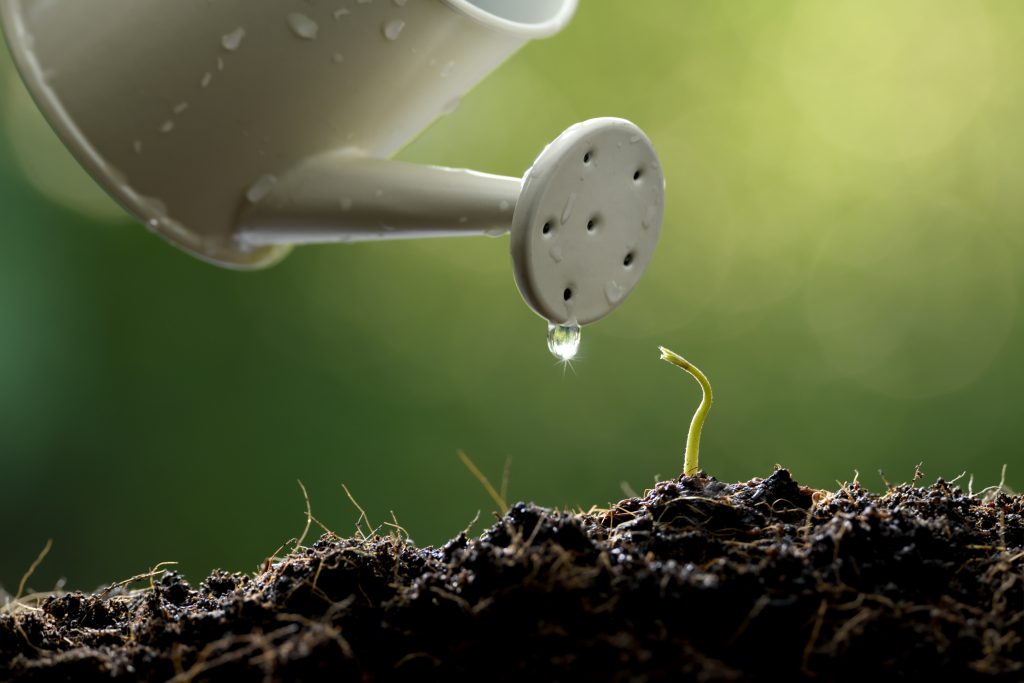 Watering Can watering single plant. How the Holy Spirit Helps You Grow Spiritually Every Day